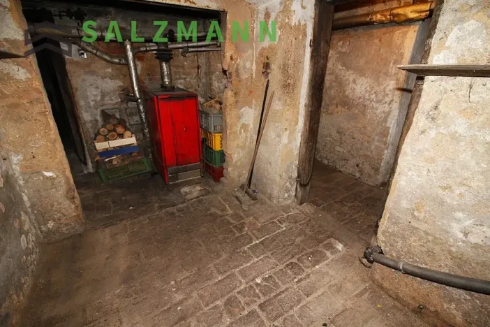 Prodej rodinného domu, Starý Plzenec, Rašínova, 240 m2