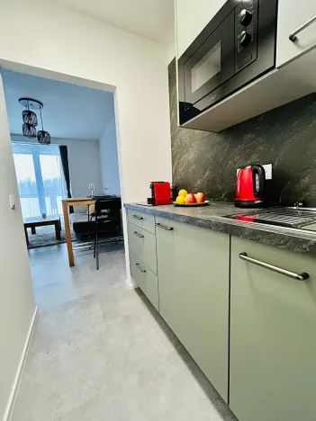 Prodej bytu 1+kk, Janov nad Nisou, 31 m2