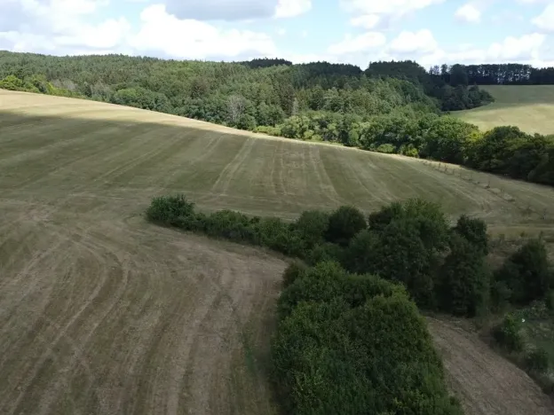Dražba louky, Slavičín, 16521 m2