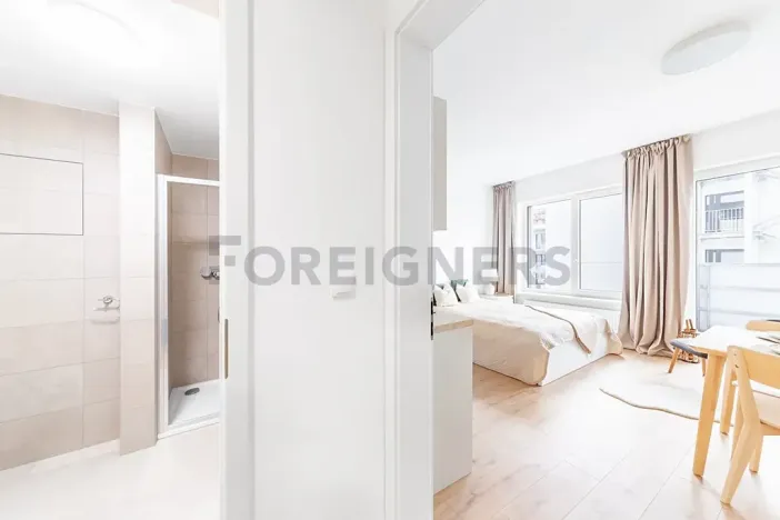 Pronájem bytu 1+kk, Brno, Spolková, 27 m2