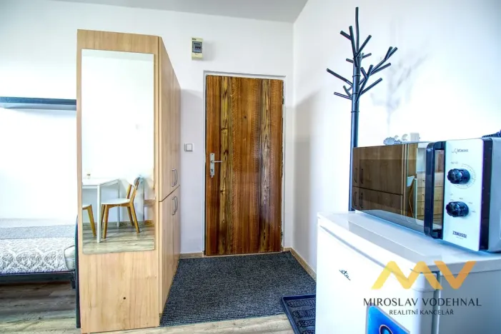 Pronájem bytu 1+kk, Hradec Králové - Nový Hradec Králové, Brožíkova, 22 m2