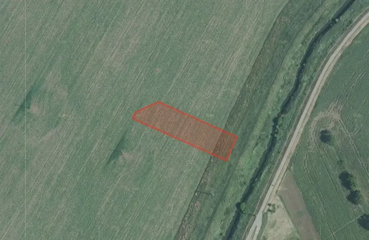 Prodej pole, Přísnotice, 5101 m2