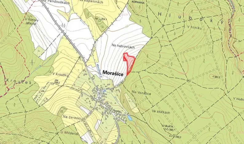 Prodej pole, Morašice, 8621 m2