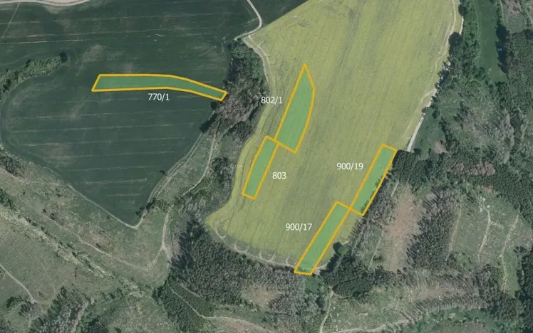 Prodej pole, Hořice, 66972 m2