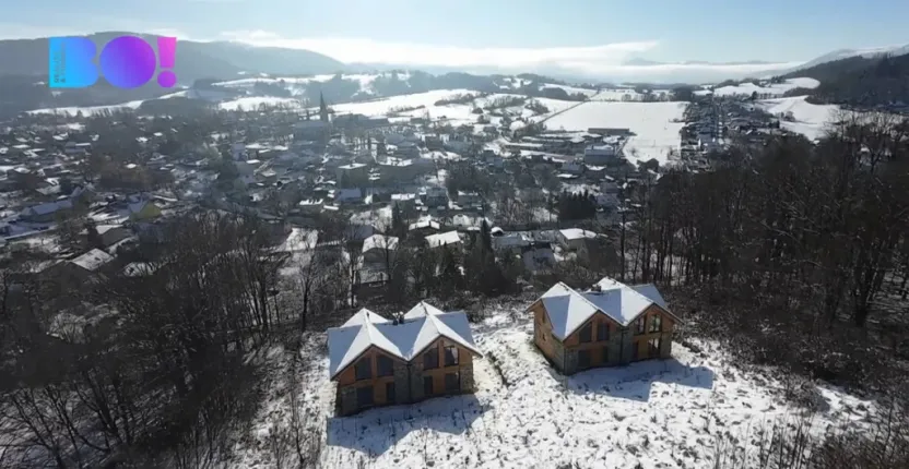 Prodej pozemku pro bydlení, Janovice, 9446 m2