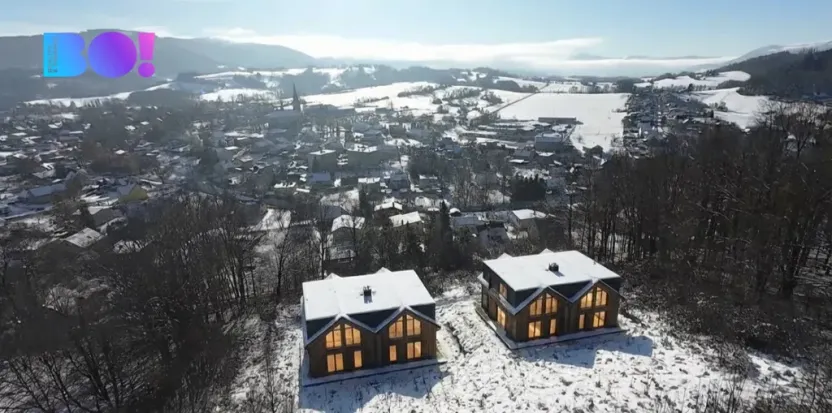 Prodej pozemku pro bydlení, Janovice, 9446 m2