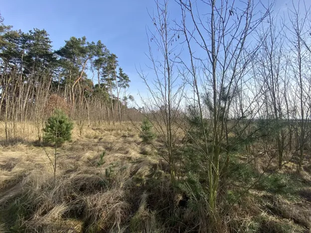 Prodej lesa, Kostelní Lhota, 9438 m2