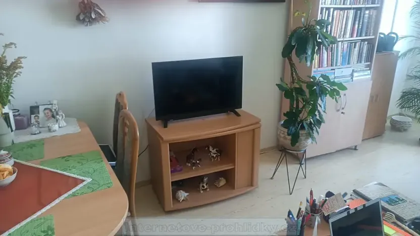 Pronájem pokoje, Praha - Kunratice, V Zeleném údolí, 15 m2