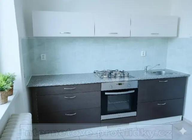 Pronájem pokoje, Praha - Břevnov, Bělohorská, 17 m2