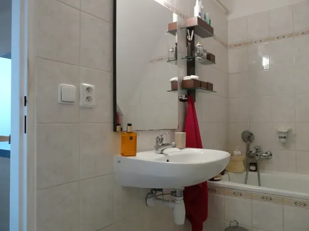 Pronájem bytu 1+1, Brno, Zvěřinova, 53 m2