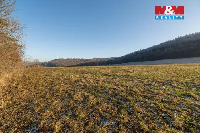 Prodej pozemku pro bydlení, Střílky, 4460 m2