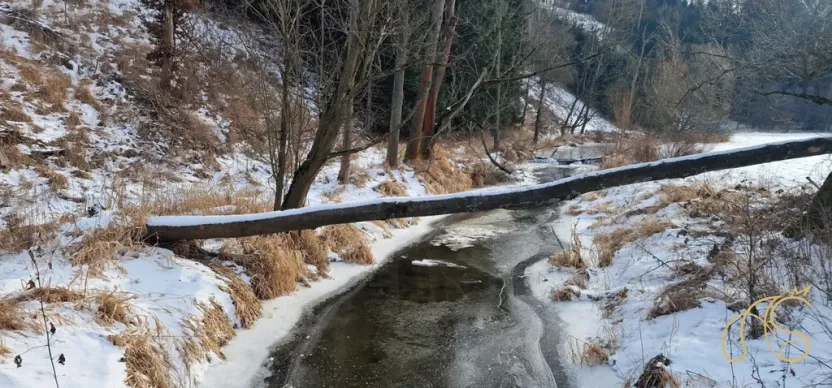 Prodej pozemku, Opatov, 12118 m2