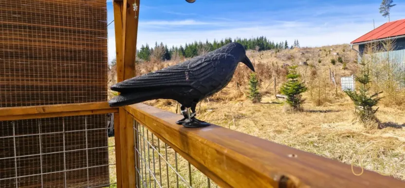 Prodej pozemku, Opatov, 12118 m2