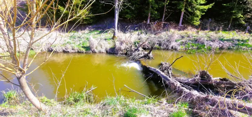 Prodej pozemku, Opatov, 12118 m2