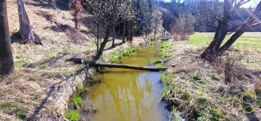 Prodej pozemku, Opatov, 12118 m2