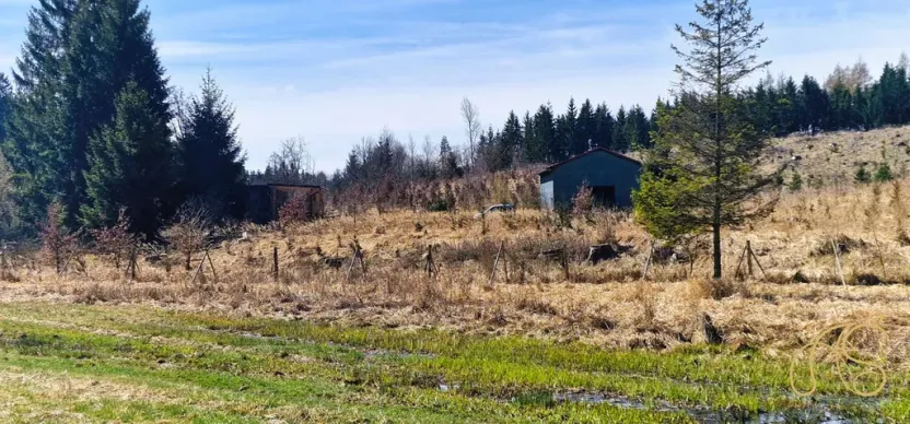 Prodej pozemku, Opatov, 12118 m2