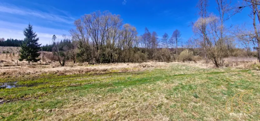 Prodej pozemku, Opatov, 12118 m2