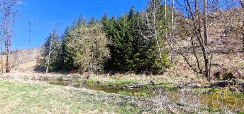 Prodej pozemku, Opatov, 12118 m2