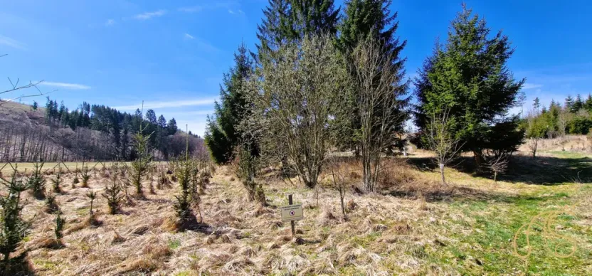 Prodej pozemku, Opatov, 12118 m2