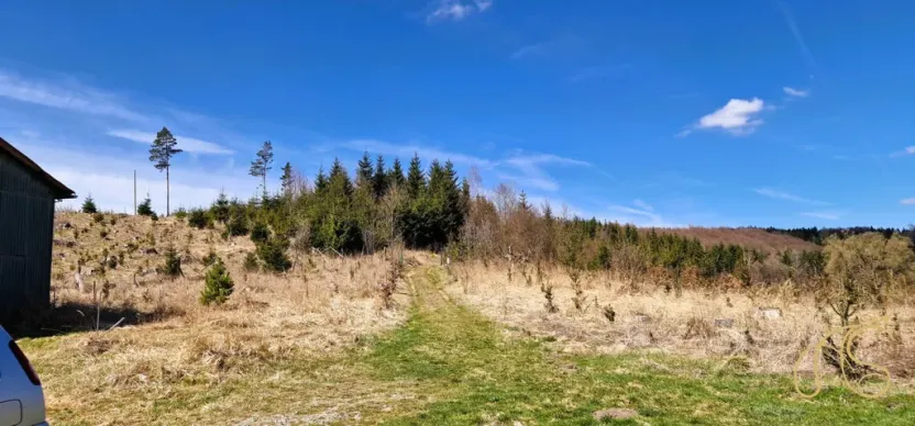 Prodej pozemku, Opatov, 12118 m2