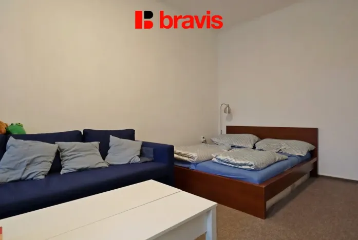 Pronájem bytu 1+1, Brno - Veveří, Antonínská, 53 m2