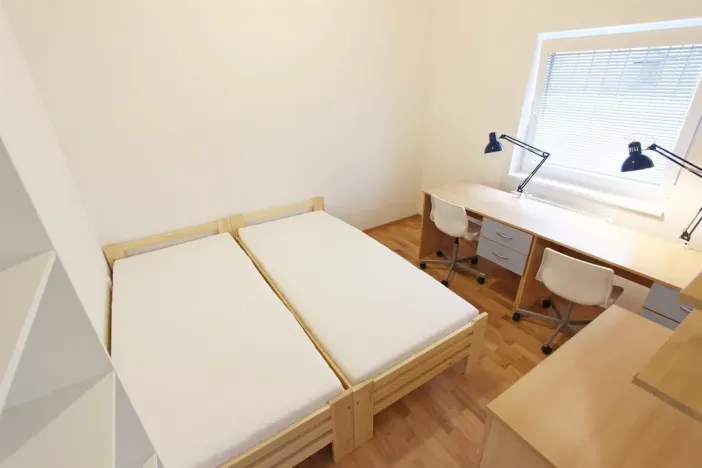 Pronájem bytu 1+kk, Brno, Cejl, 10 m2