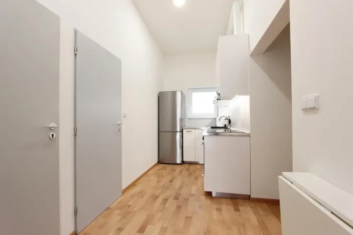 Pronájem bytu 1+kk, Brno, Cejl, 10 m2