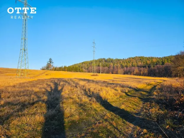 Prodej louky, Plzeň - Malesice, 106411 m2