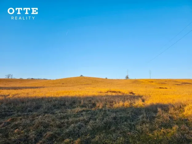 Prodej louky, Plzeň - Malesice, 106411 m2