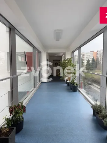Pronájem bytu 2+kk, Zlín, Pod Křiby, 72 m2