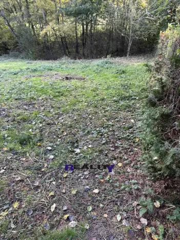 Prodej zahrady, Struhařov, V Zahradách, 397 m2