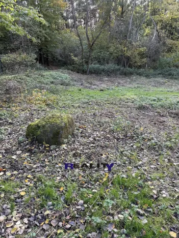 Prodej zahrady, Struhařov, V Zahradách, 397 m2