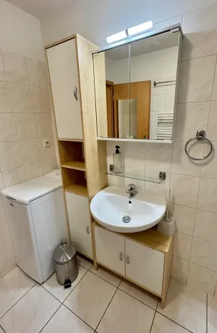 Pronájem bytu 1+kk, Brno, Trýbova, 36 m2