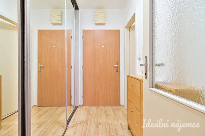 Pronájem bytu 1+kk, Brno - Staré Brno, Trýbova, 34 m2