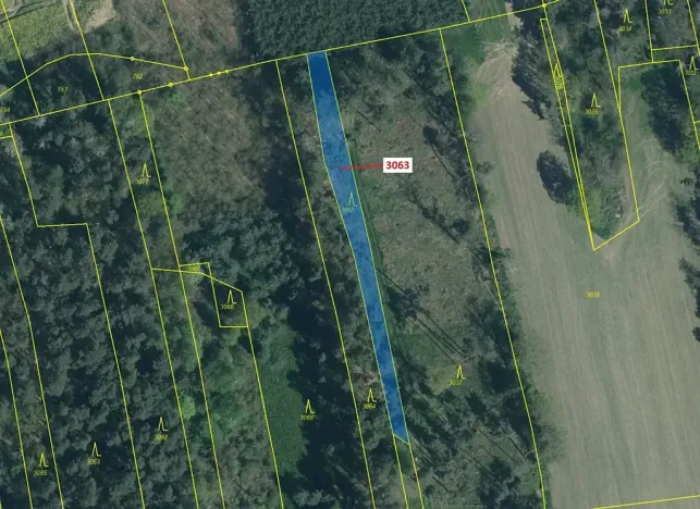 Dražba lesa, Koloveč, 703 m2