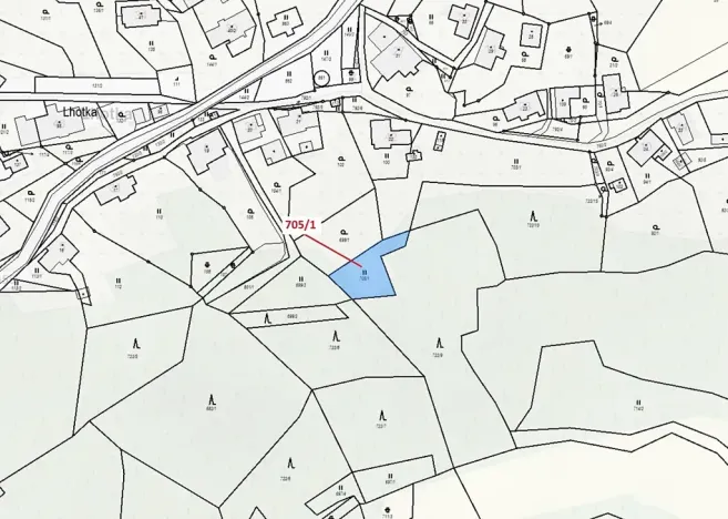 Dražba louky, Zlatá Olešnice, 438 m2