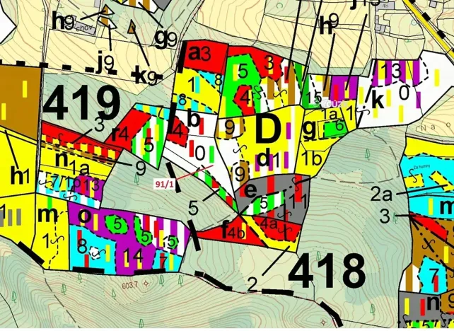 Dražba lesa, Pačejov, 3251 m2