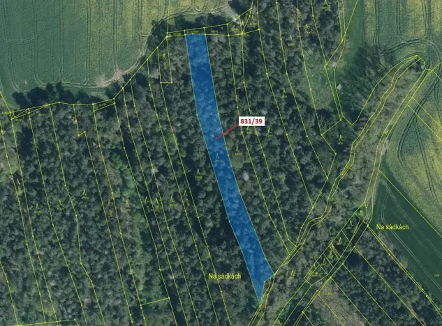 Dražba lesa, Koloveč, 3368 m2