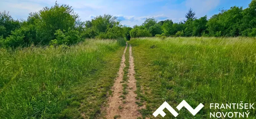 Prodej pozemku, Brno, Sedlička, 3622 m2