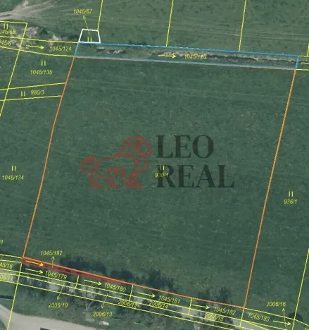 Prodej pole, Vstiš, 76424 m2