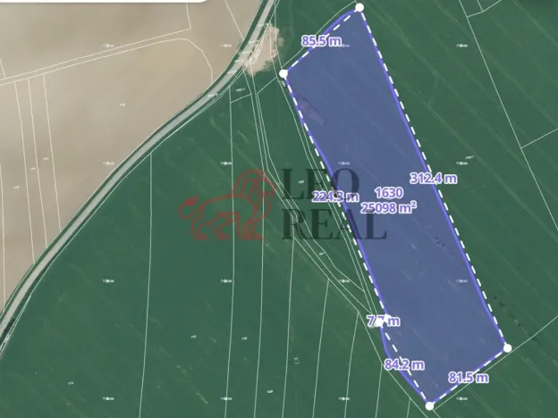 Prodej pole, Vstiš, 76424 m2