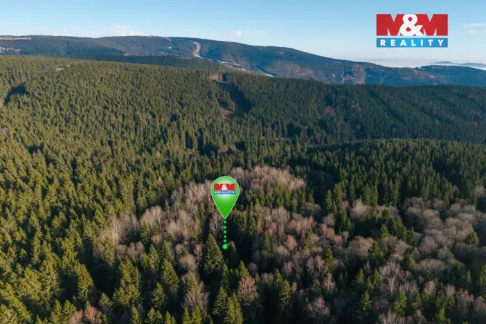 Prodej rodinného domu, Jáchymov - Nové Město, 195 m2