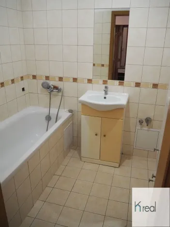 Pronájem bytu 2+1, Ostrov, Luční, 60 m2