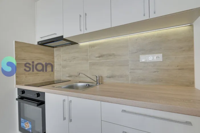 Pronájem bytu 1+kk, Ostrava - Moravská Ostrava, Sládkova, 29 m2