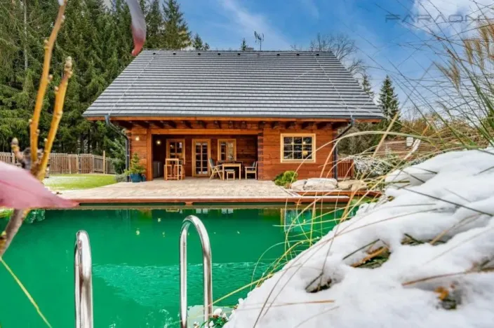 Prodej obchodního prostoru, Borotín - Kamenná Lhota, 194 m2