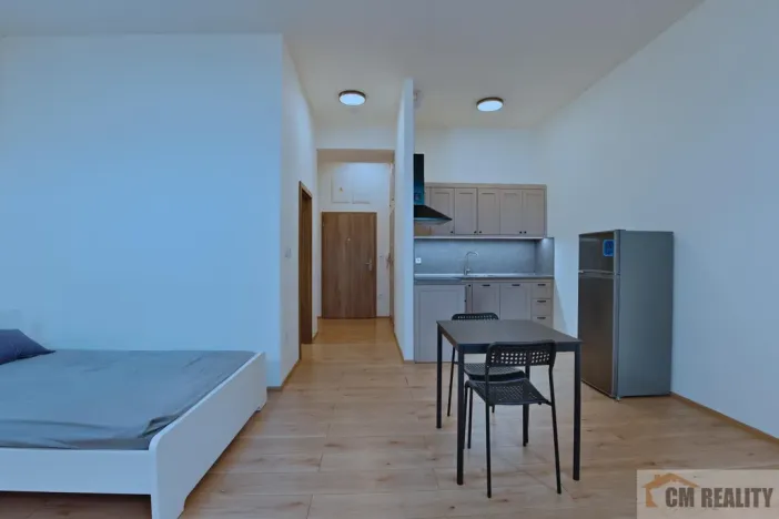 Pronájem bytu 1+kk, Olomouc - Hodolany, Holická, 42 m2
