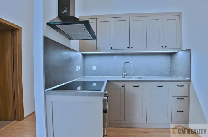 Pronájem bytu 1+kk, Olomouc - Hodolany, Holická, 42 m2