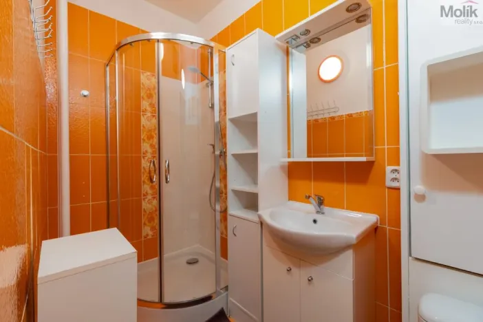 Pronájem bytu 2+1, Teplice - Řetenice, Buzulucká, 52 m2