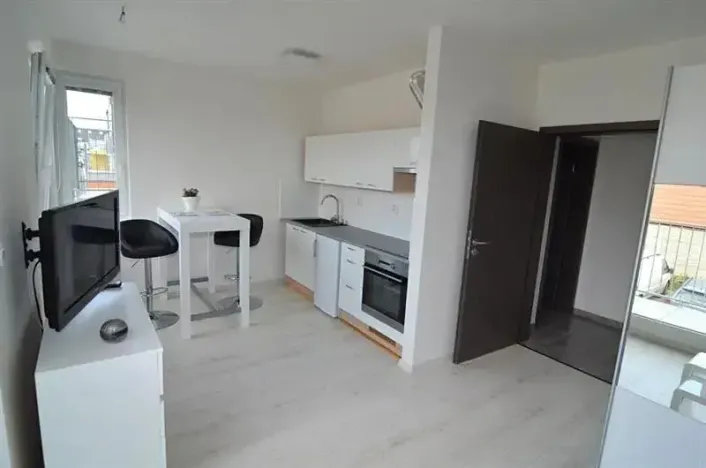 Pronájem bytu 1+kk, Vestec, U Hrubých, 35 m2