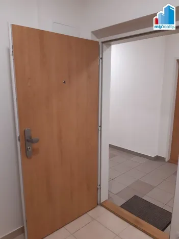 Pronájem bytu 1+kk, Plzeň - Jižní Předměstí, Technická, 32 m2